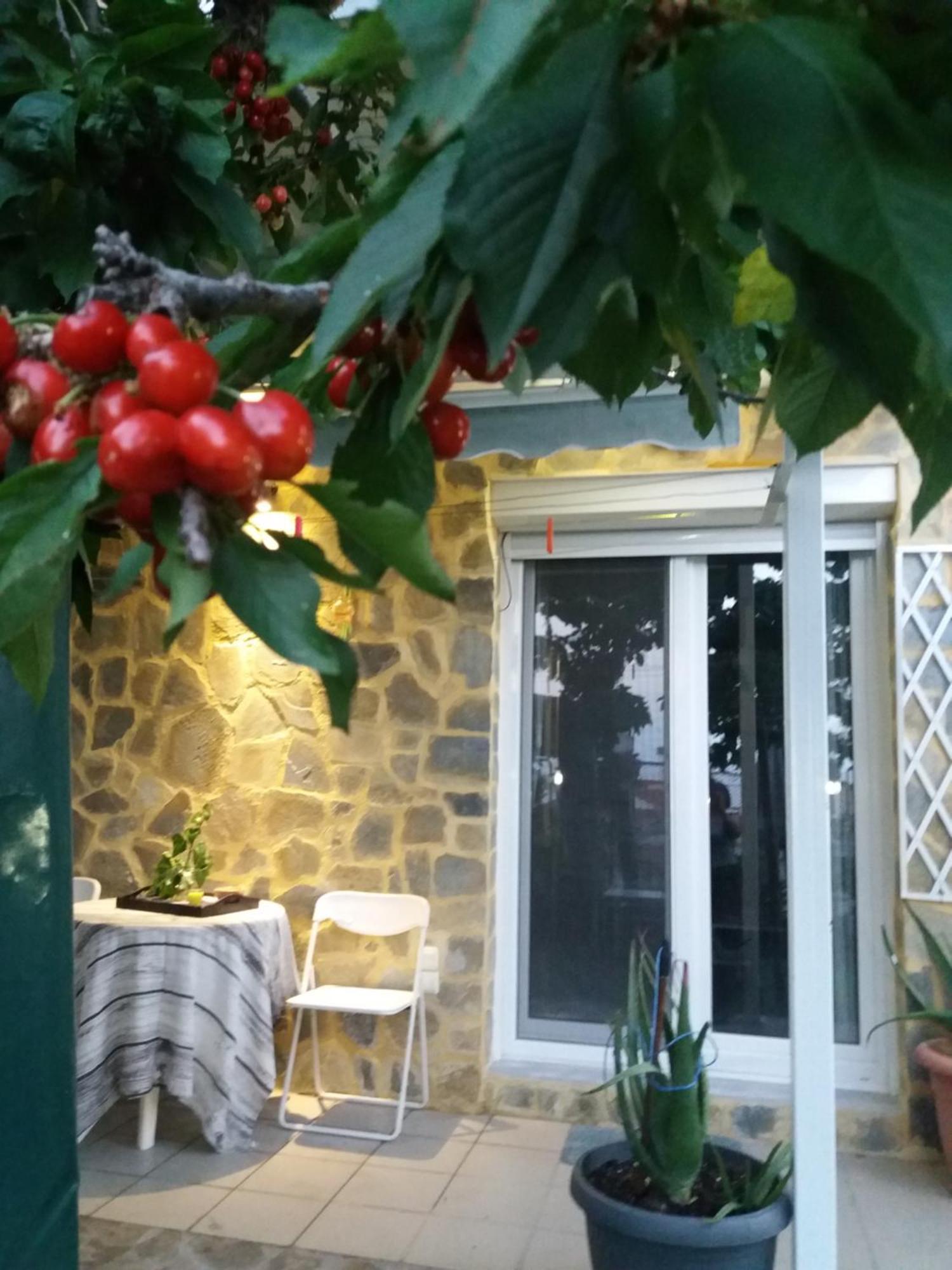 Garden'S House Apartment Kavala Exterior photo